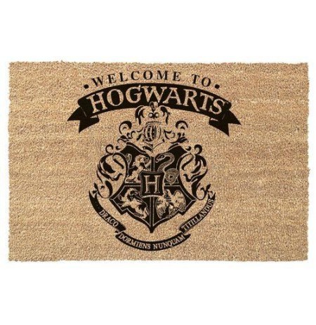 Harry Potter (Welcome to Hogwarts) durvju