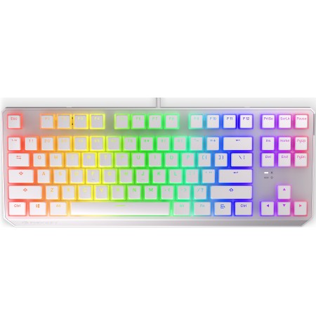 Endorfy Thock TKL mehāniskā klaviatūra ar RGB Pudding Edition (US, Kailh BROWN switch)